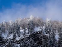 Wolkenschleier umschweben frisch verschneite Nadelbäume im Priental